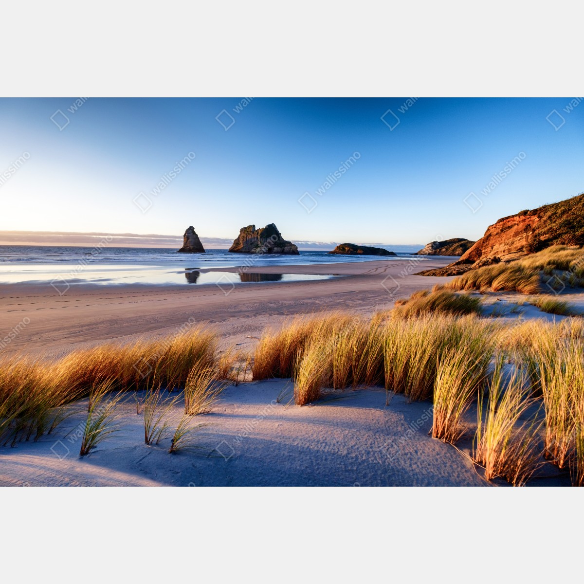 Naklejka repozycjonowalna Wharariki Beach poranny pejzaż nad morzem – Wallissimo® Naklejka repozycjonowalna Wharariki Beach poranny pejzaż nad morzem – Wallissimo®