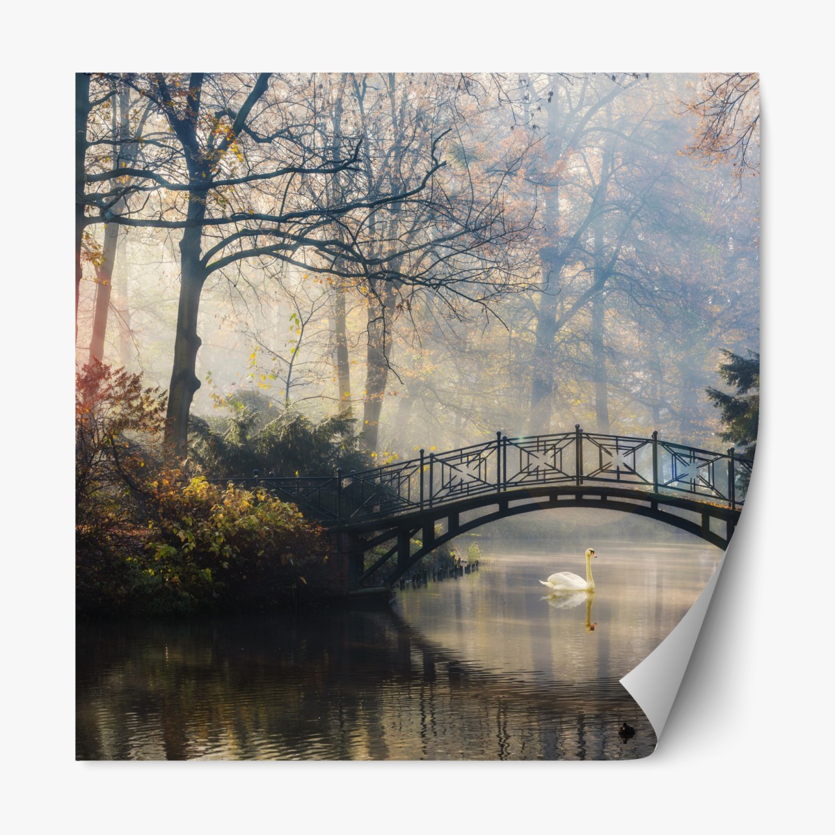 Repositionable sticker misty autumn bridge with swan