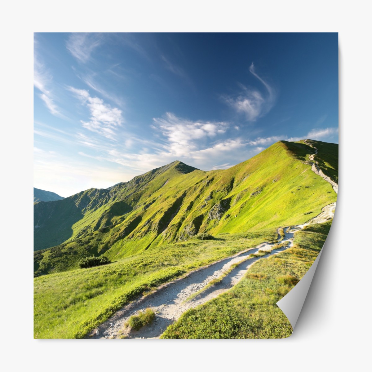 Repositionable sticker sunlit mountain ridge trail