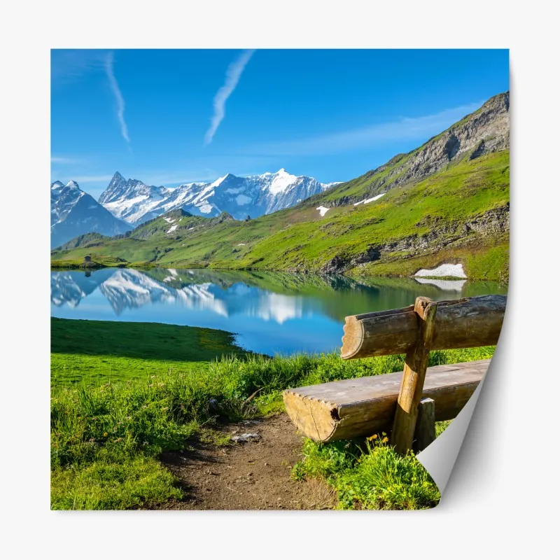 Naklejka repozycjonowalna zimowa mgła nad lasem iglastym – Wallissimo®