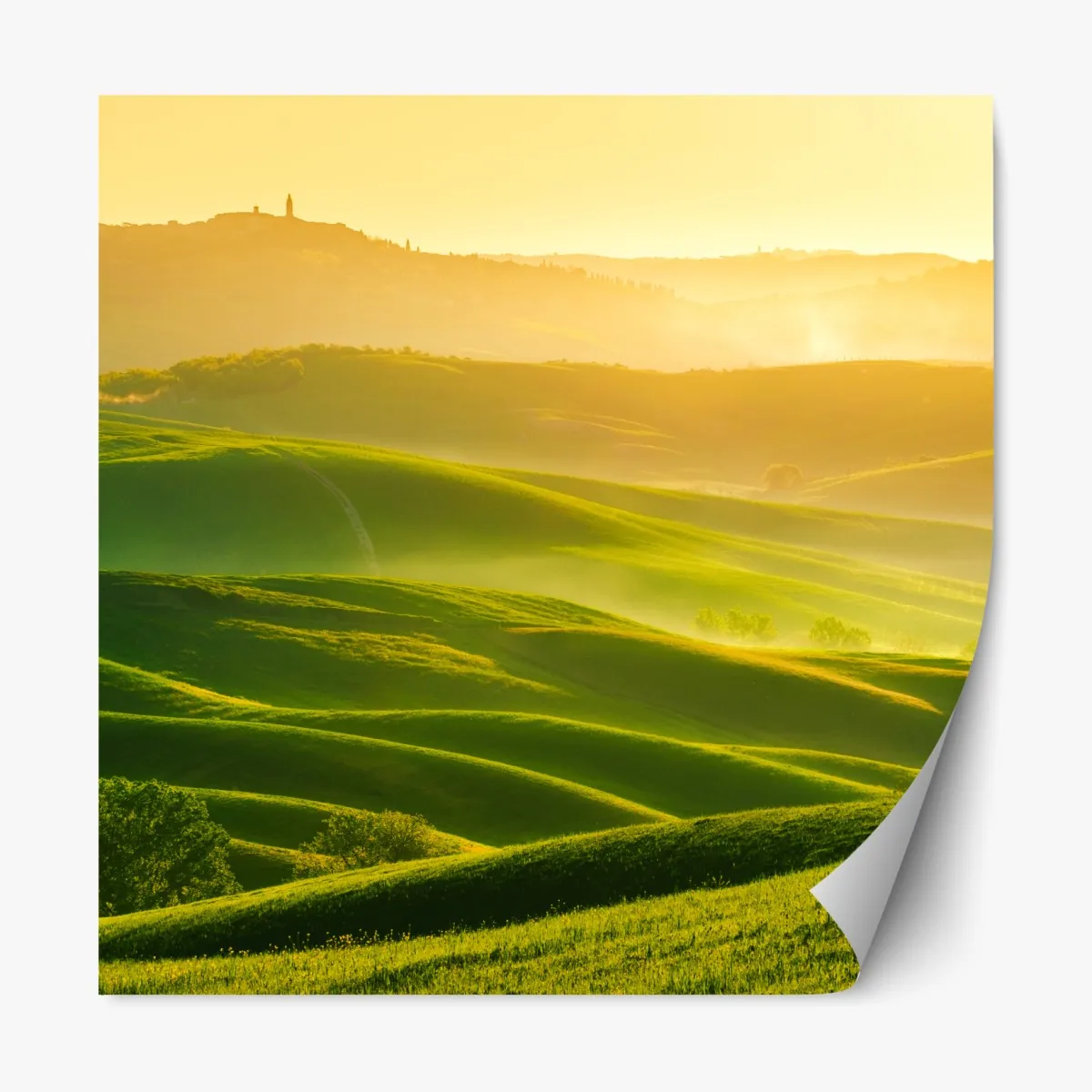 Naklejka repozycjonowalna złoty wschód słońca nad zielonymi falującymi wzgórzami – Wallissimo® Naklejka repozycjonowalna złoty wschód słońca nad zielonymi falującymi wzgórzami – Wallissimo®
