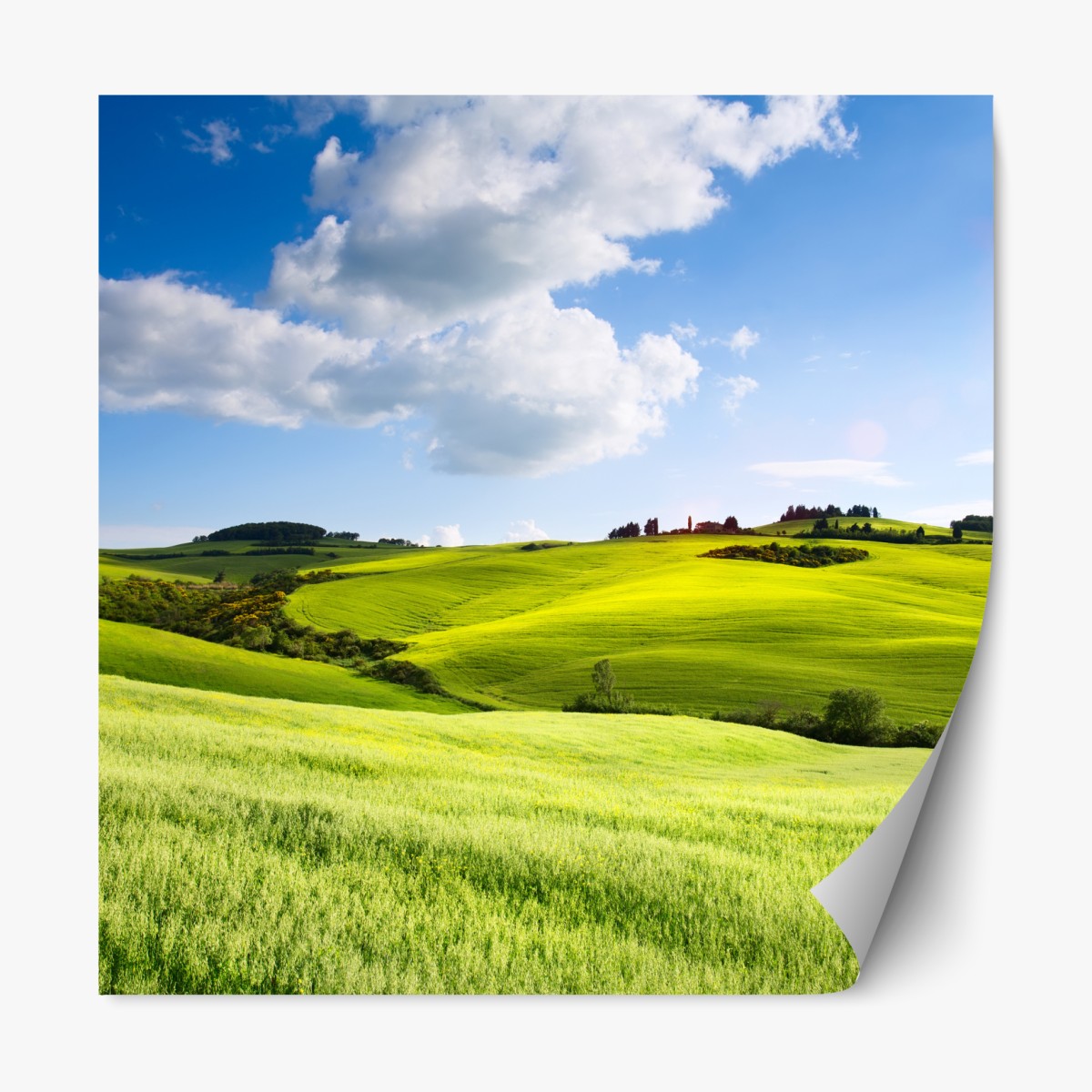 Repositionable sticker Tuscany rolling hills at sunset