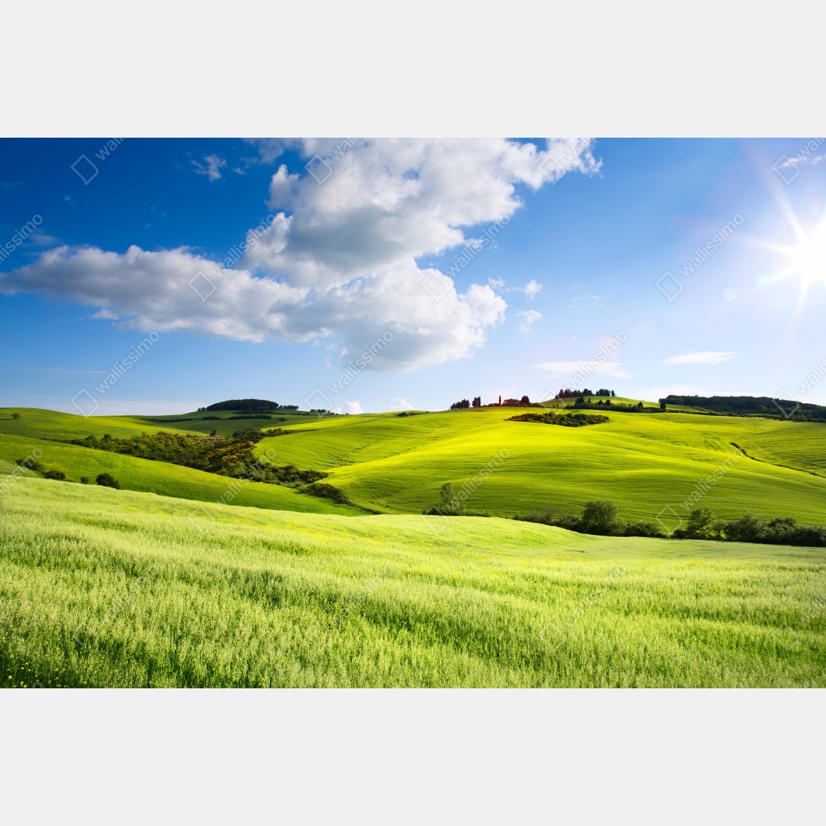 Naklejka repozycjonowalna Toskania zielone wzgórza o zachodzie słońca – Wallissimo® Naklejka repozycjonowalna Toskania zielone wzgórza o zachodzie słońca – Wallissimo®