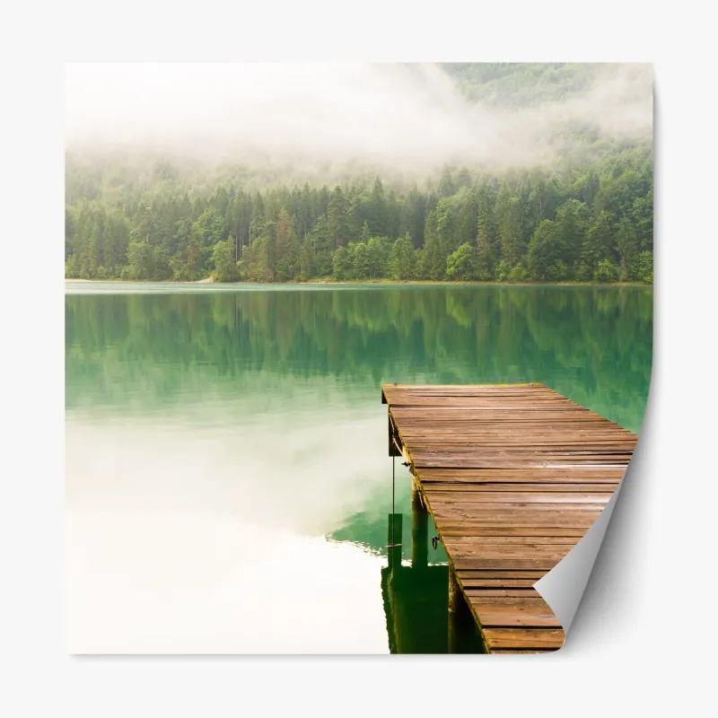 Naklejka repozycjonowalna portret studyjny czarnego labradora – Wallissimo®