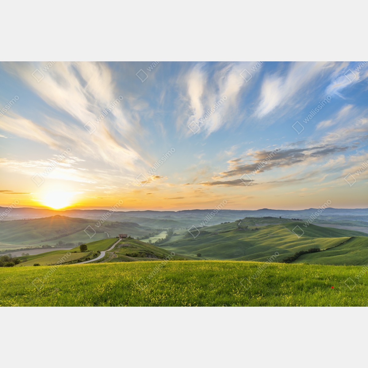 Naklejka repozycjonowalna wschód słońca nad łąką we Włoszech – Wallissimo® Naklejka repozycjonowalna wschód słońca nad łąką we Włoszech – Wallissimo®