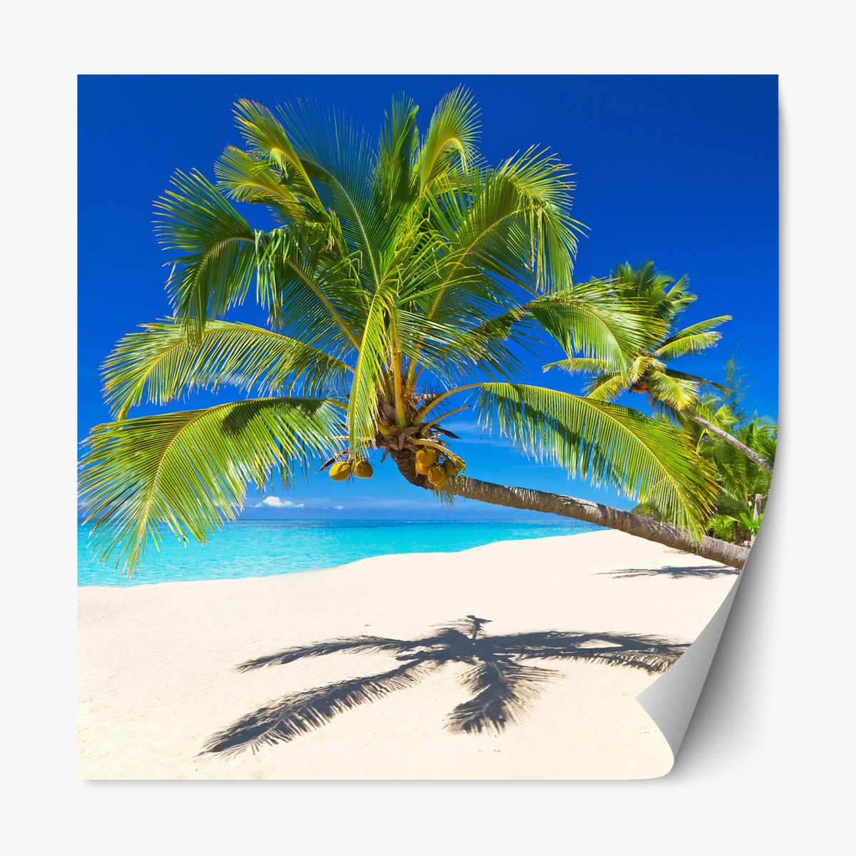 Repositionable sticker Andaman Sea tropical beach with leaning palm