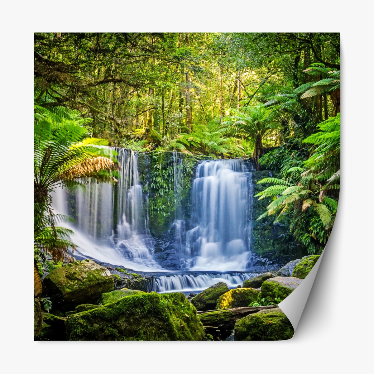 Repositionable sticker lush waterfall at Mt Field National Park, Tasmania