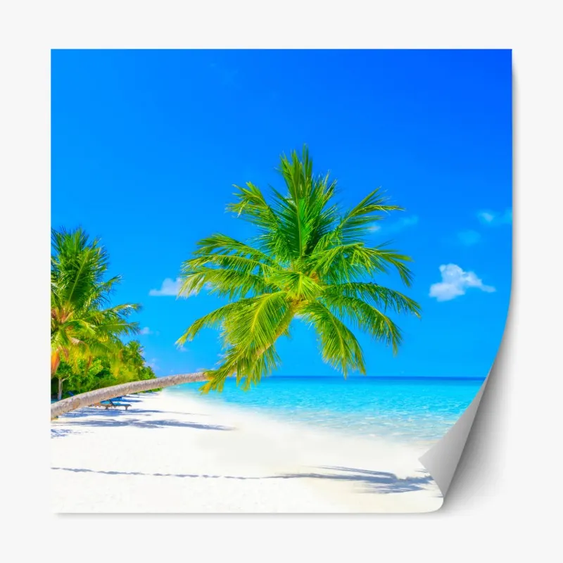 Naklejka repozycjonowalna intensywny pomarańczowy kwiat gerbery z bliska – Wallissimo®