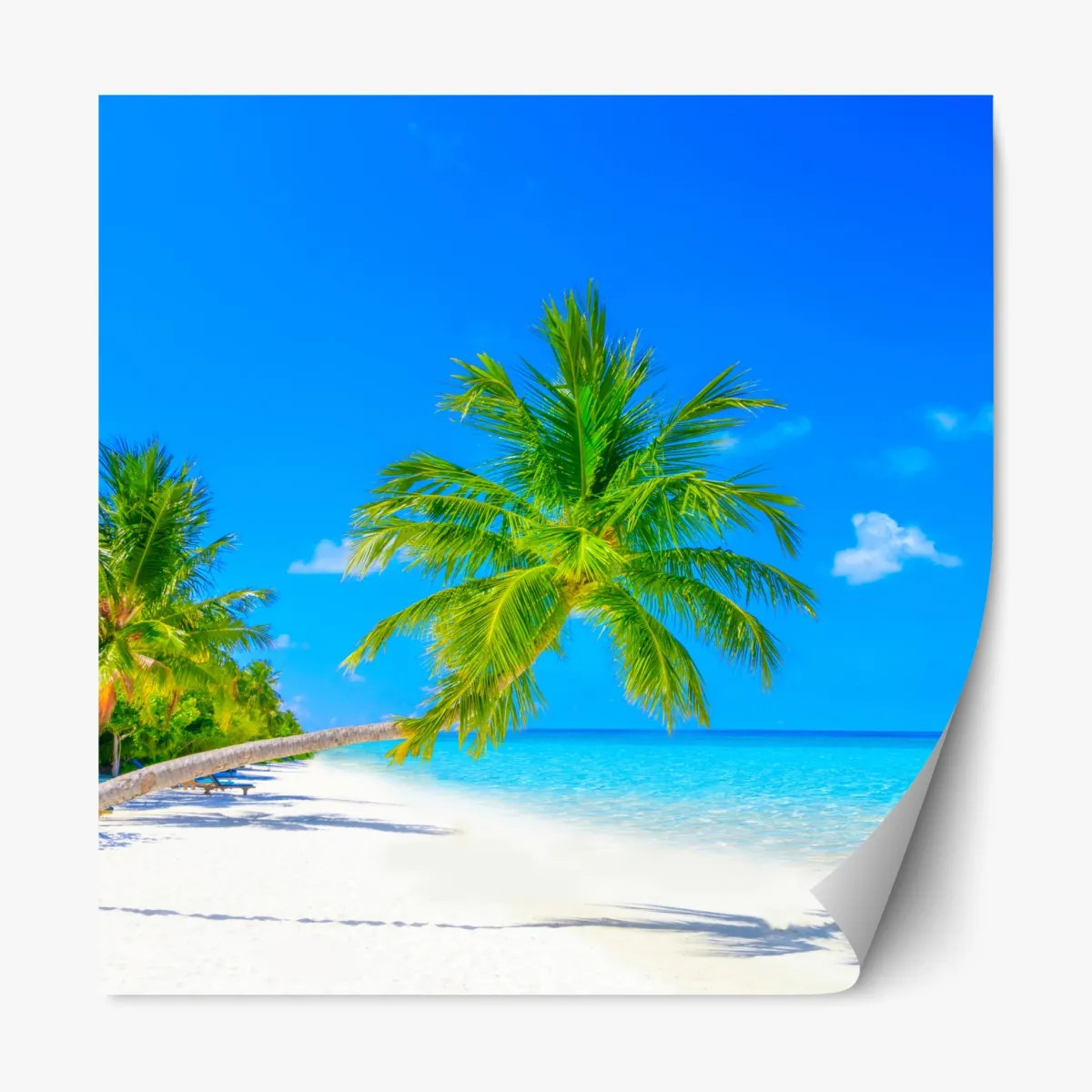 Naklejka repozycjonowalna rajska plaża na Malediwach – Wallissimo® Naklejka repozycjonowalna rajska plaża na Malediwach – Wallissimo®