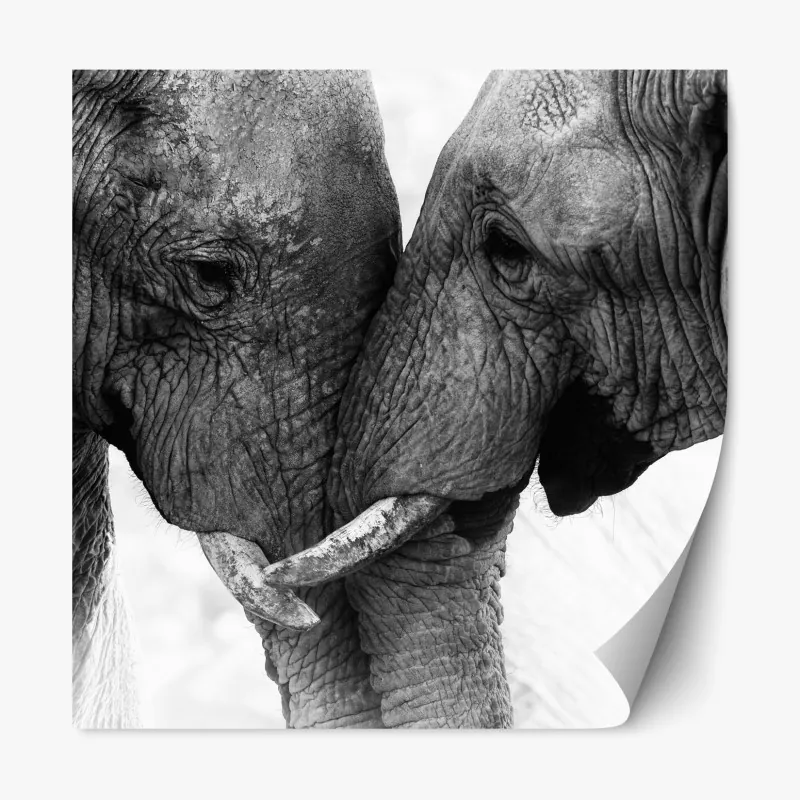 Naklejka repozycjonowalna Sanphet Prasat pałac nad jeziorem – Wallissimo®