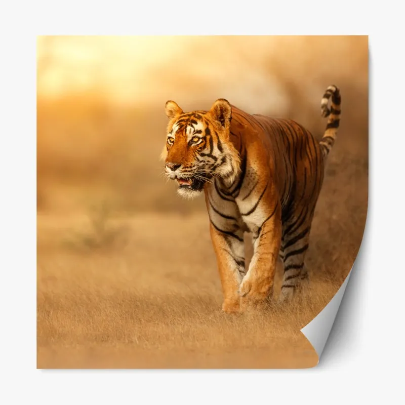 Naklejka repozycjonowalna słoneczny port śródziemnomorski – Wallissimo®