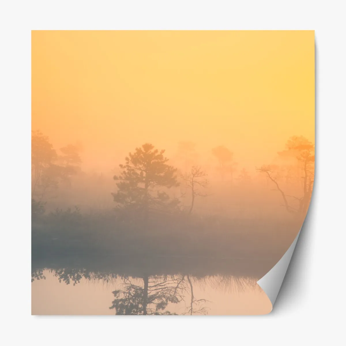 Naklejka repozycjonowalna senny wschód słońca nad mglistym torfowiskiem – Wallissimo® Naklejka repozycjonowalna senny wschód słońca nad mglistym torfowiskiem – Wallissimo®