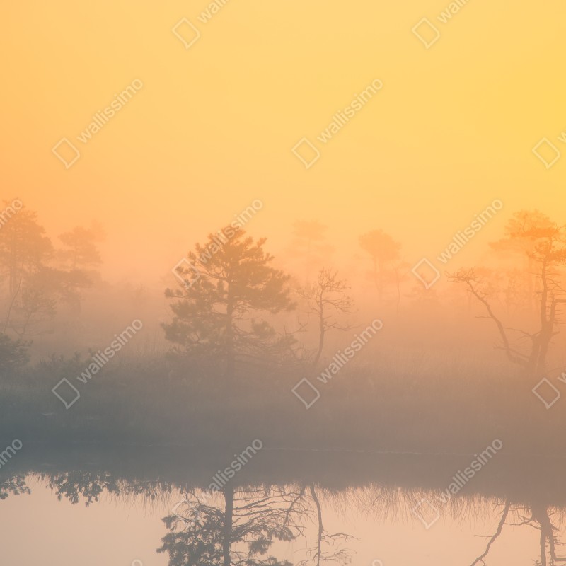 Naklejka repozycjonowalna senny wschód słońca nad mglistym torfowiskiem – Wallissimo® Naklejka repozycjonowalna senny wschód słońca nad mglistym torfowiskiem – Wallissimo®