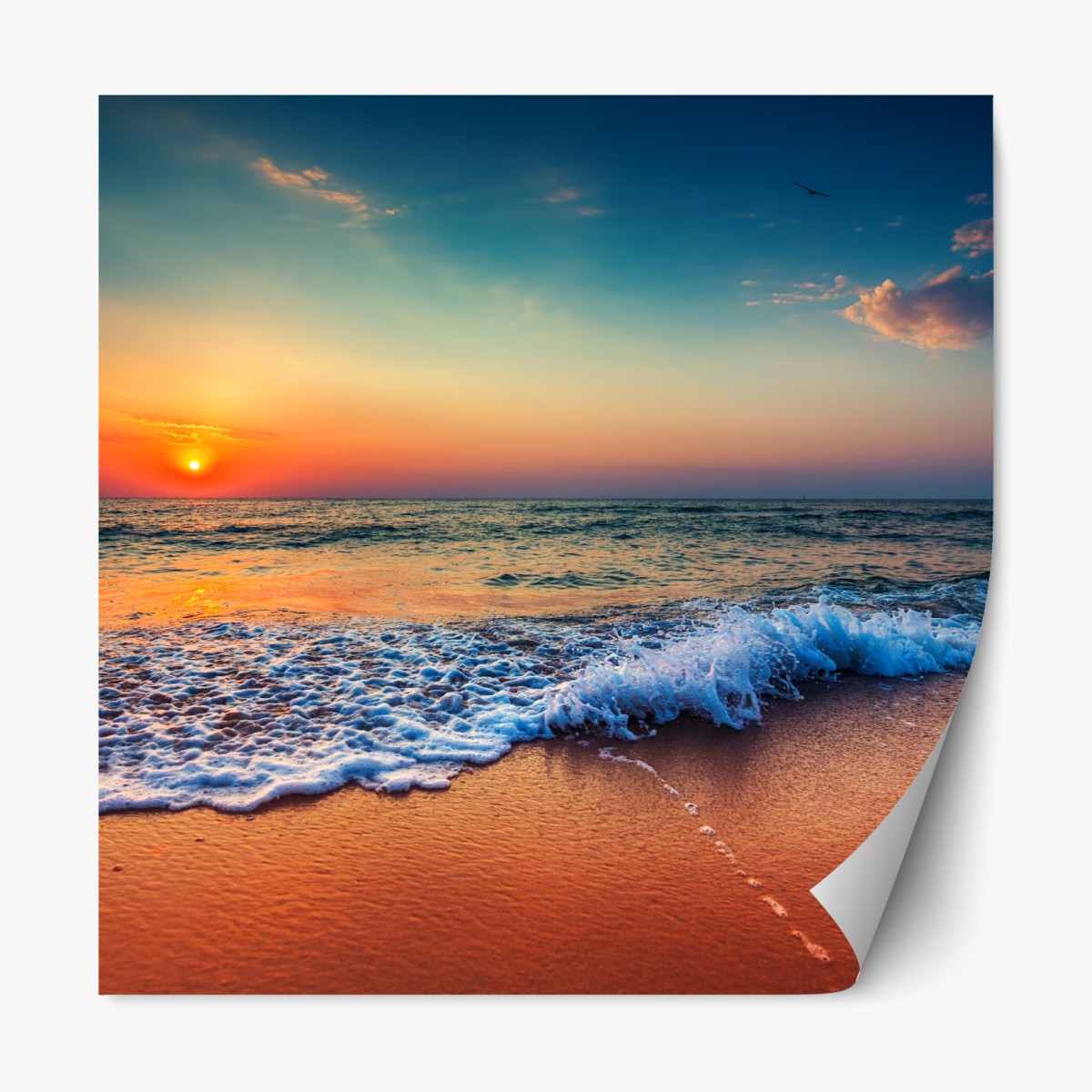 Repositionable sticker golden sunrise over the tranquil sea