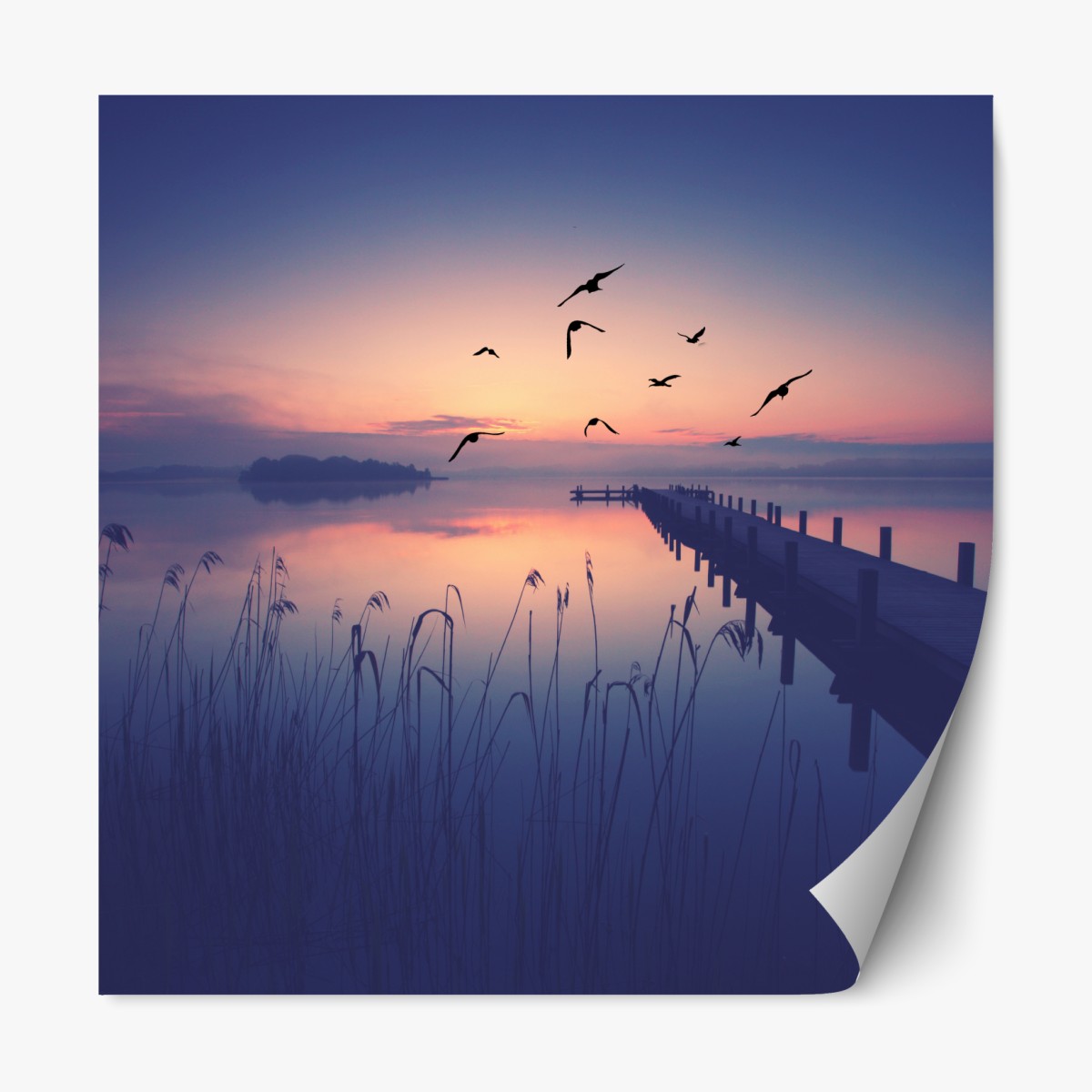 Repositionable sticker serene lakeside sunrise with birds