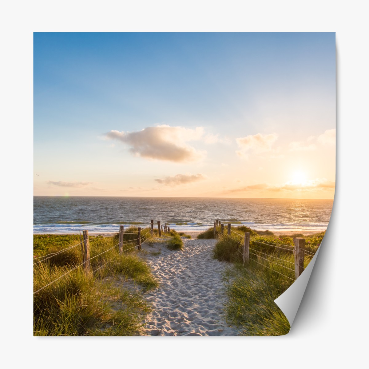 Repositionable sticker sunlit beach path to the ocean