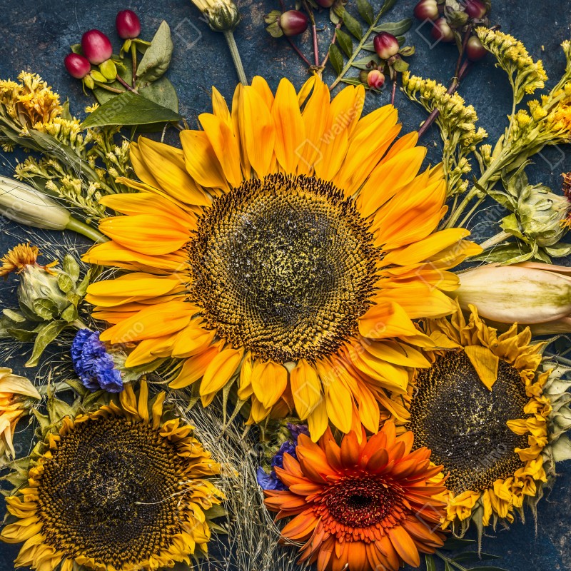 Naklejka repozycjonowalna jesienny bukiet słoneczników na ciemnym rustykalnym tle – Wallissimo® Naklejka repozycjonowalna jesienny bukiet słoneczników na ciemnym rustykalnym tle – Wallissimo®