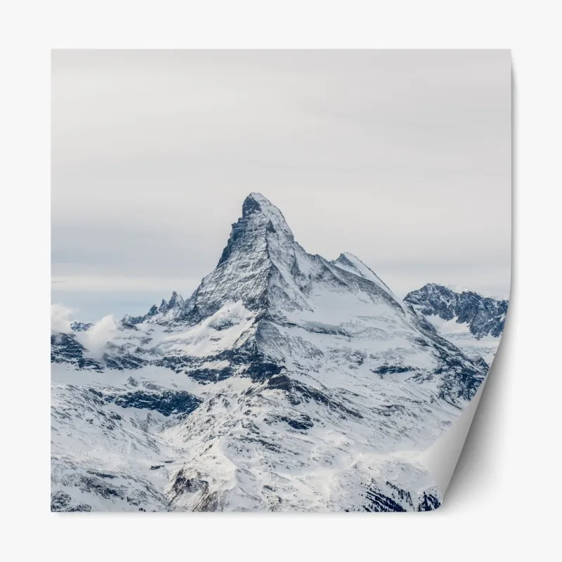 Naklejka repozycjonowalna tropikalny motyw tukanów – Wallissimo®