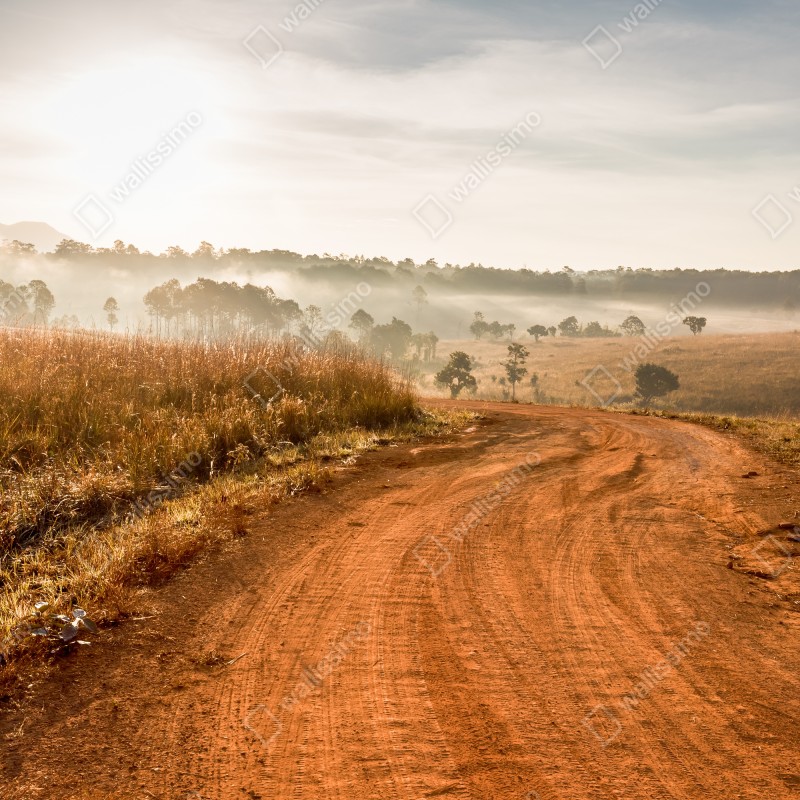 Naklejka repozycjonowalna poranna droga gruntowa w Thung Salaeng Luang – Wallissimo® Naklejka repozycjonowalna poranna droga gruntowa w Thung Salaeng Luang – Wallissimo®