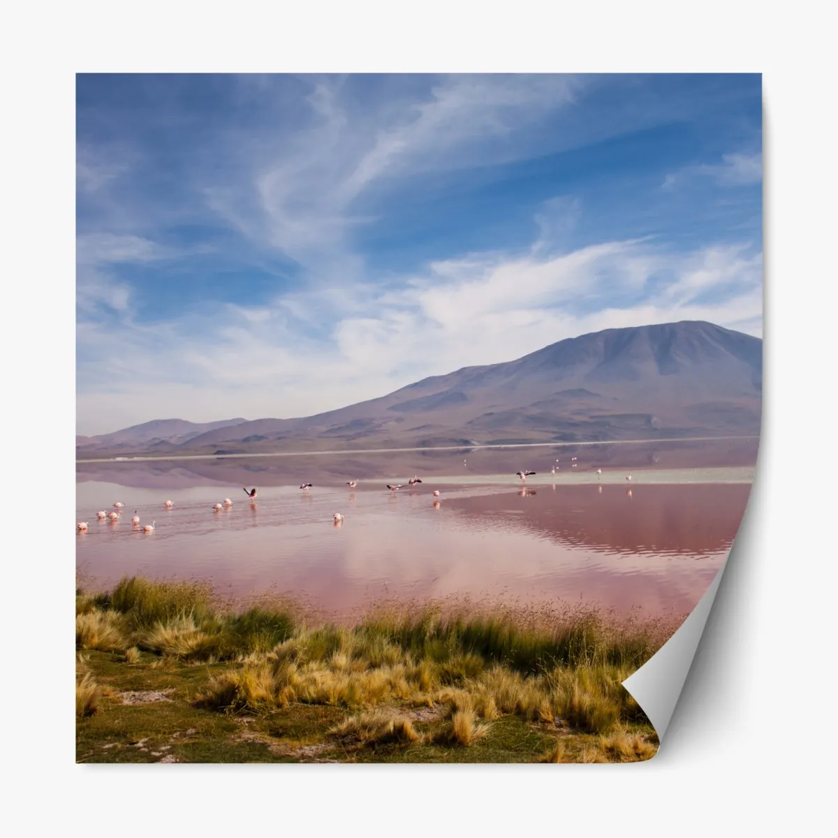 Naklejka repozycjonowalna różowa laguna z flamingami i odbiciem gór – Wallissimo® Naklejka repozycjonowalna różowa laguna z flamingami i odbiciem gór – Wallissimo®