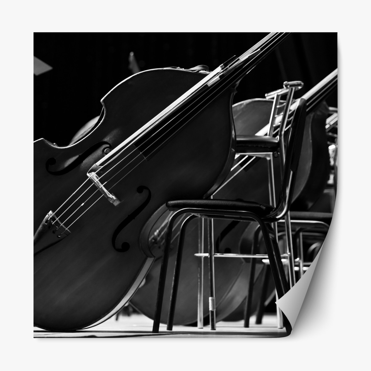 Repositionable sticker monochrome double basses in orchestra