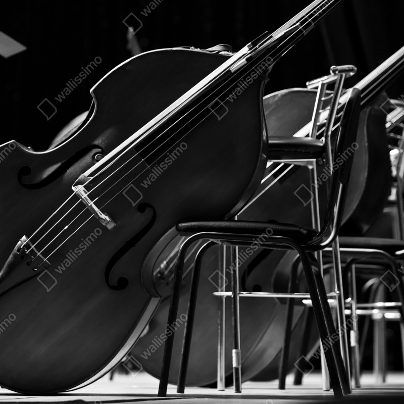 Naklejka repozycjonowalna kontrabasy orkiestry w monochromie – Wallissimo® Naklejka repozycjonowalna kontrabasy orkiestry w monochromie – Wallissimo®