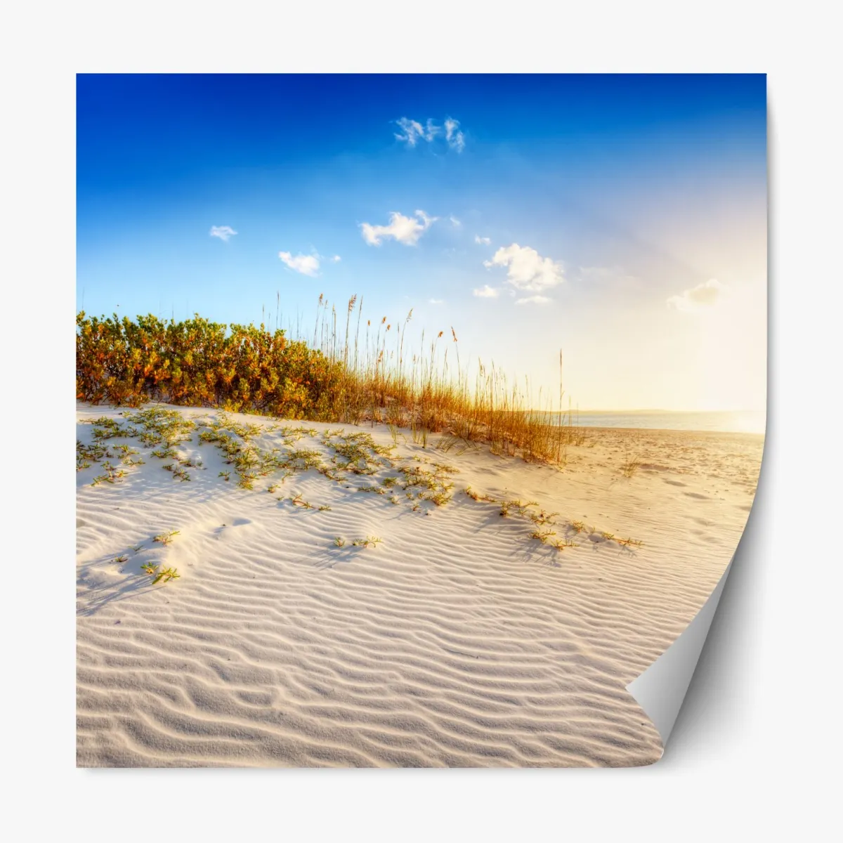Naklejka repozycjonowalna zachód słońca nad wydmami Grace Bay – Wallissimo® Naklejka repozycjonowalna zachód słońca nad wydmami Grace Bay – Wallissimo®