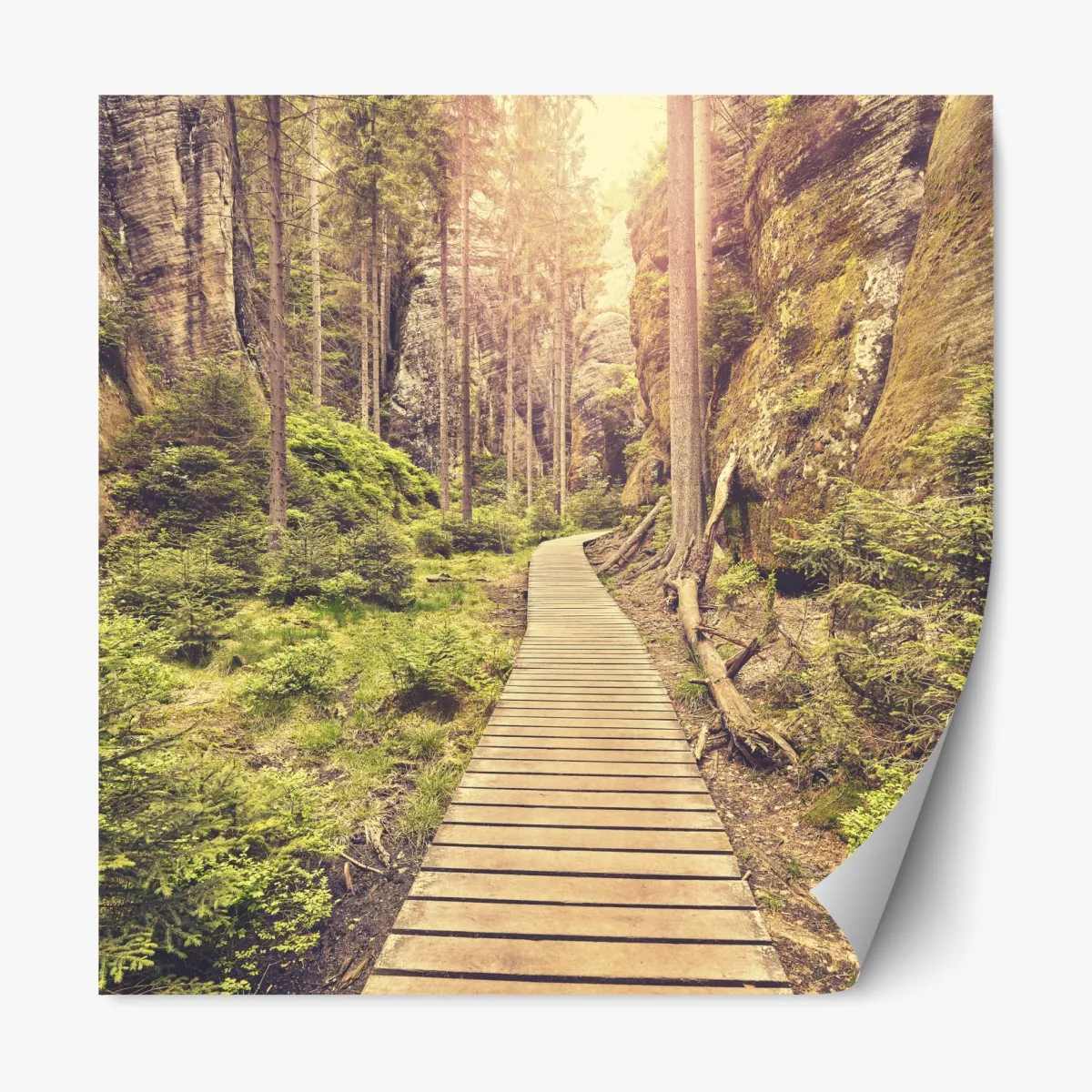 Naklejka repozycjonowalna słoneczna drewniana kładka w Adrspach Teplice – Wallissimo® Naklejka repozycjonowalna słoneczna drewniana kładka w Adrspach Teplice – Wallissimo®