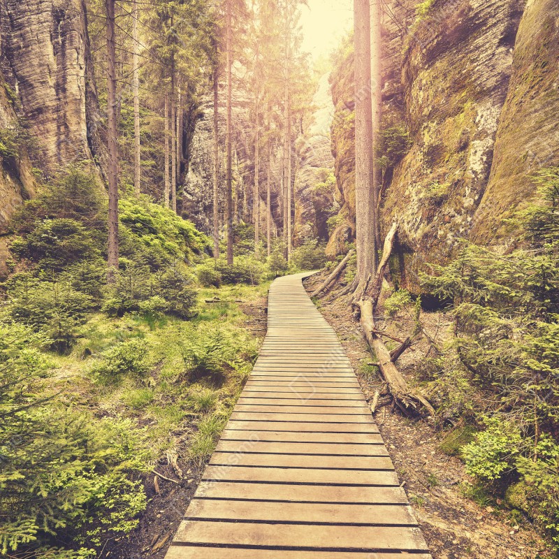 Naklejka repozycjonowalna słoneczna drewniana kładka w Adrspach Teplice – Wallissimo® Naklejka repozycjonowalna słoneczna drewniana kładka w Adrspach Teplice – Wallissimo®