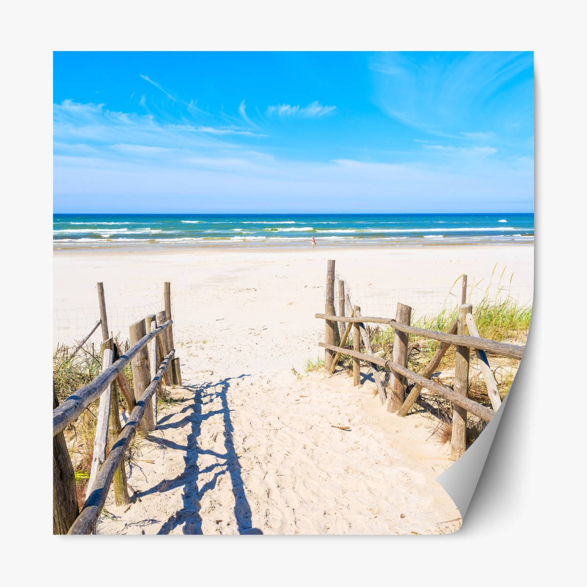 Repositionable sticker entrance to Debki beach on the Baltic Sea