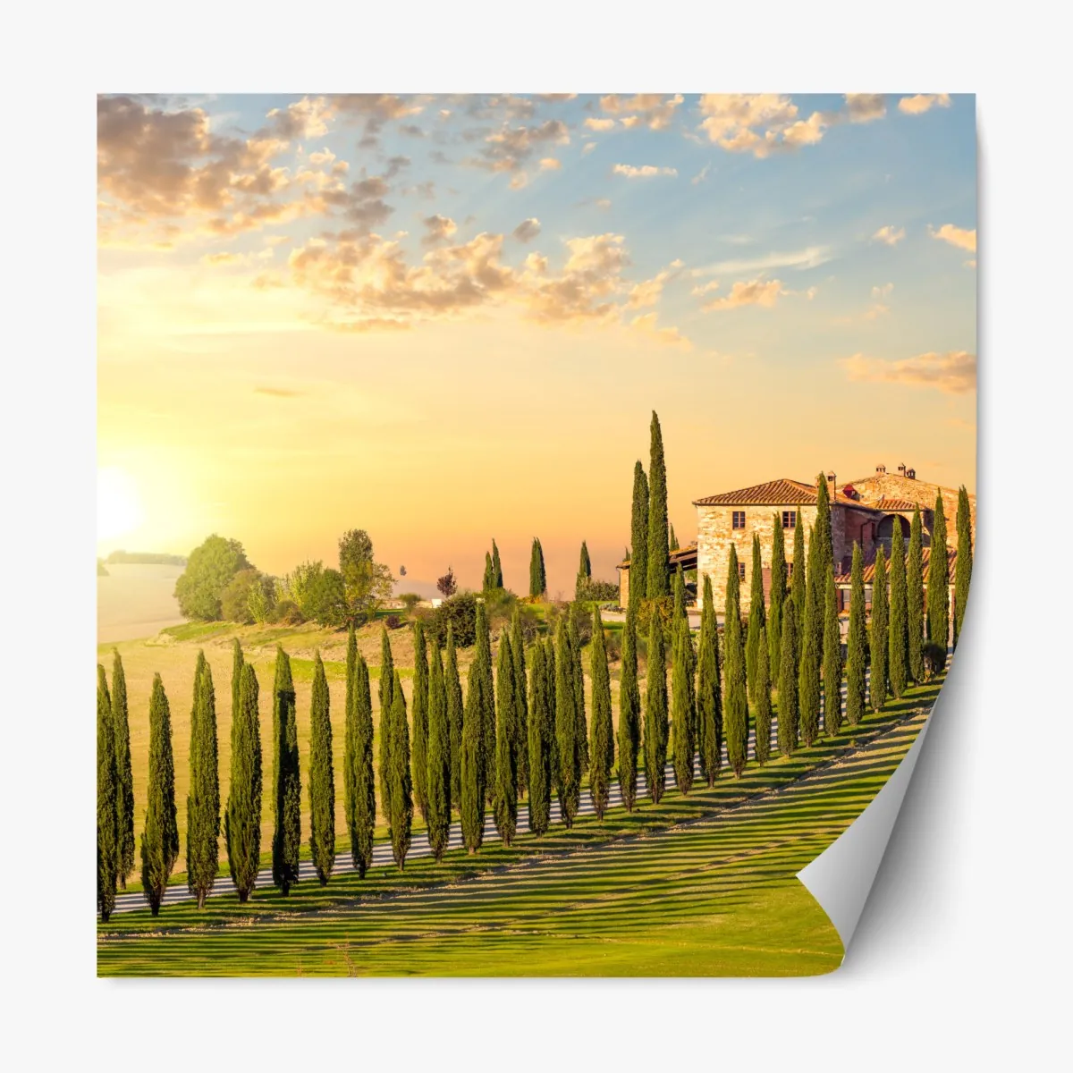Naklejka repozycjonowalna Toskania zachód słońca aleja cyprysów – Wallissimo® Naklejka repozycjonowalna Toskania zachód słońca aleja cyprysów – Wallissimo®