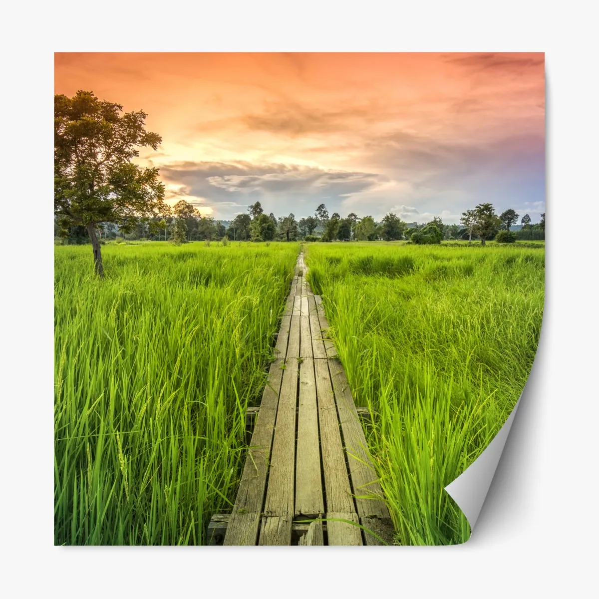 Naklejka repozycjonowalna zachód słońca nad drewnianym mostem w Khonburi – Wallissimo® Naklejka repozycjonowalna zachód słońca nad drewnianym mostem w Khonburi – Wallissimo®