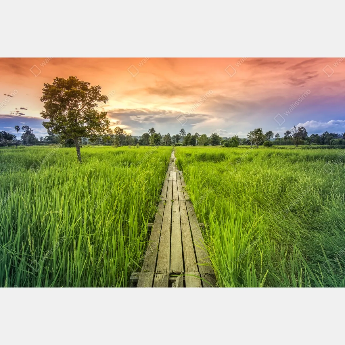 Naklejka repozycjonowalna zachód słońca nad drewnianym mostem w Khonburi – Wallissimo® Naklejka repozycjonowalna zachód słońca nad drewnianym mostem w Khonburi – Wallissimo®