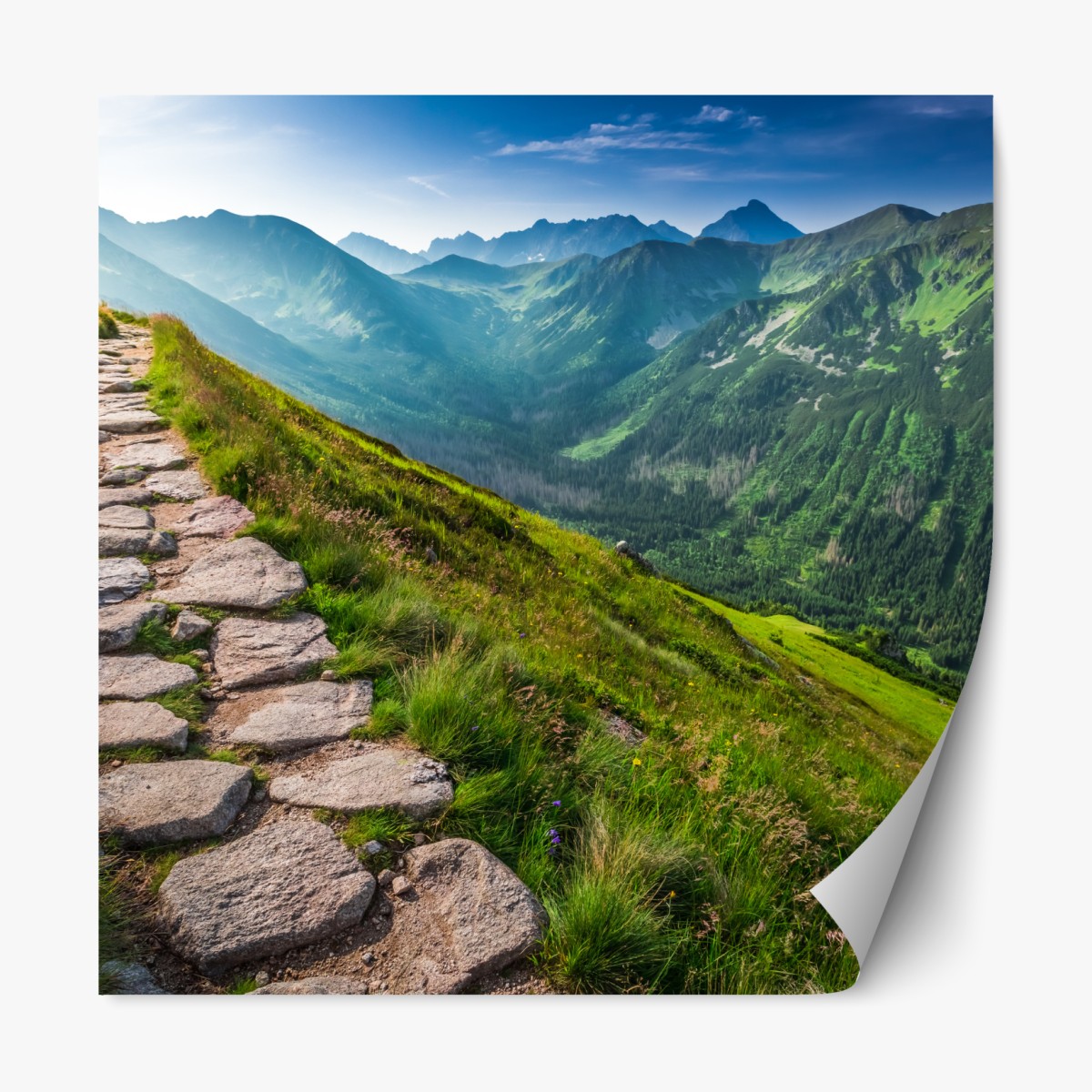 Repositionable sticker Tatras mountain footpath at sunrise