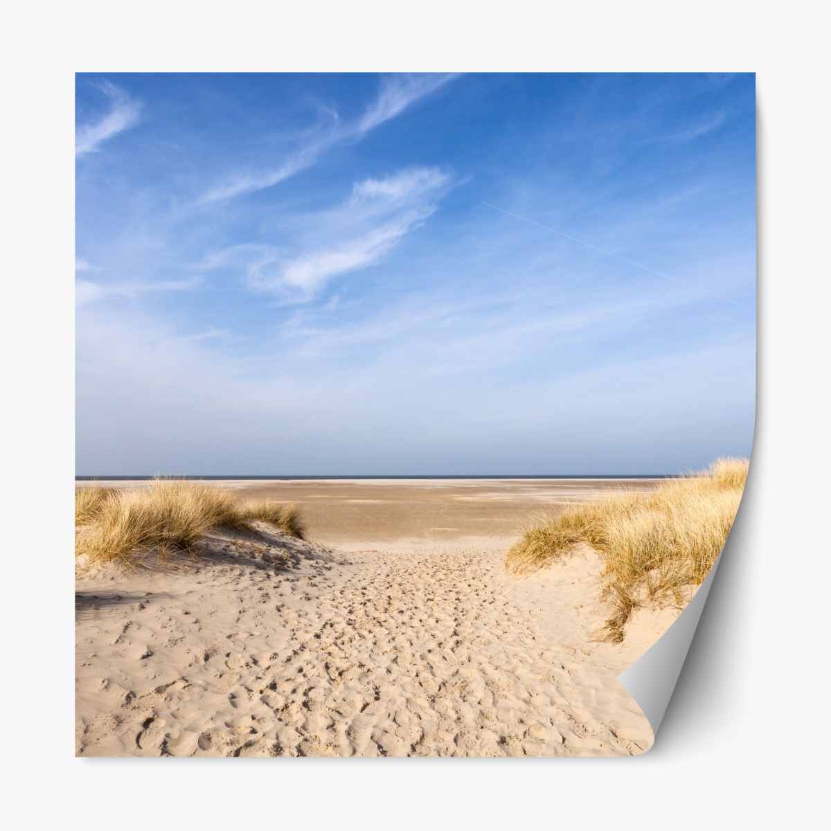 Repositionable sticker serene dunes at the German coast
