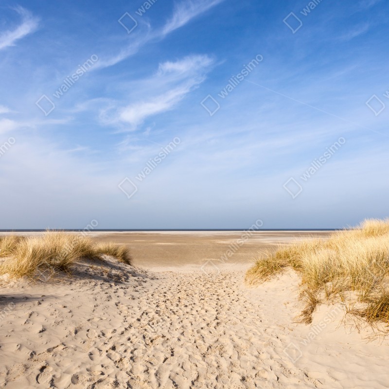 Naklejka repozycjonowalna spokojne wydmy na wybrzeżu Niemiec – Wallissimo® Naklejka repozycjonowalna spokojne wydmy na wybrzeżu Niemiec – Wallissimo®