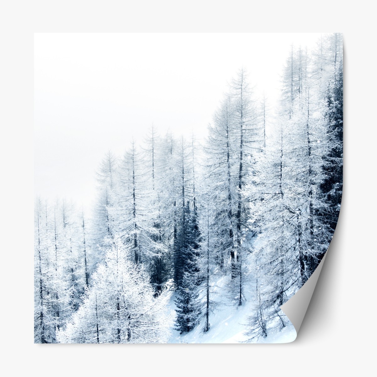 Repositionable sticker winter hush: snowy forest landscape