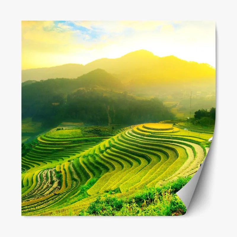 Naklejka repozycjonowalna akwarelowe liście eukaliptusa na ciemnym tle – Wallissimo®