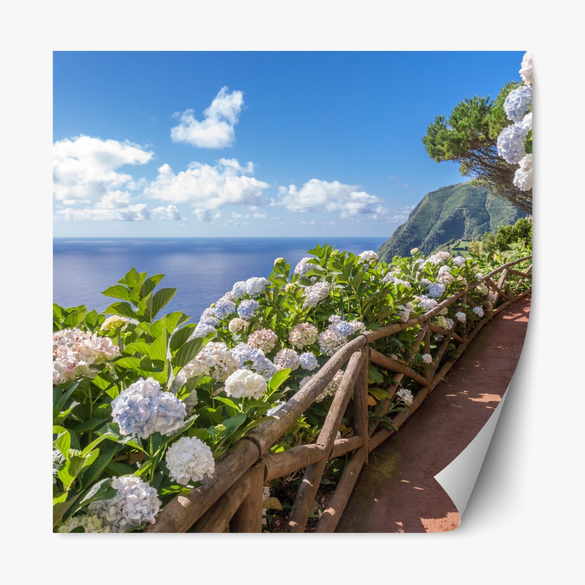 Repositionable sticker coastal path with hydrangeas, São Miguel, Azores