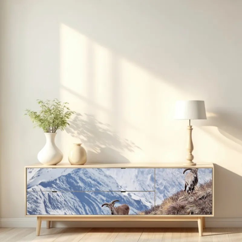 Naklejka repozycjonowalna dzikie niebieskie owce na zboczu Himalajów, Manang, Nepal – Wallissimo® Naklejka repozycjonowalna dzikie niebieskie owce na zboczu Himalajów, Manang, Nepal – Wallissimo®