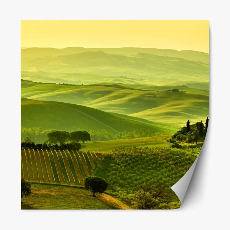 Naklejka repozycjonowalna miękkie niebieskie gwiazdki do pokoju dziecięcego – Wallissimo®