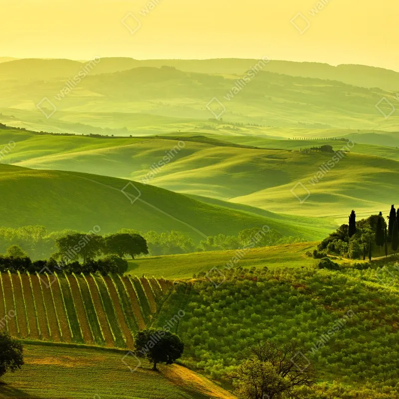 Naklejka repozycjonowalna Toskania zielone wzgórza – Wallissimo® Naklejka repozycjonowalna Toskania zielone wzgórza – Wallissimo®