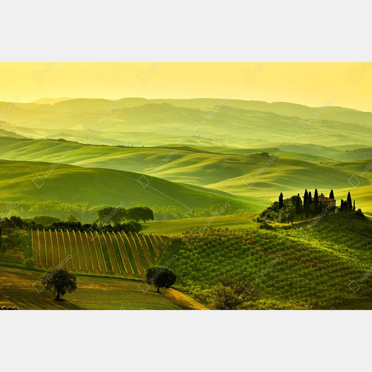 Naklejka repozycjonowalna Toskania zielone wzgórza – Wallissimo® Naklejka repozycjonowalna Toskania zielone wzgórza – Wallissimo®