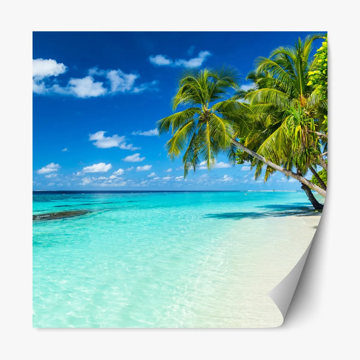 Naklejka repozycjonowalna tropikalna turkusowa plaża z pochylonymi palmami – Wallissimo® Naklejka repozycjonowalna tropikalna turkusowa plaża z pochylonymi palmami – Wallissimo®