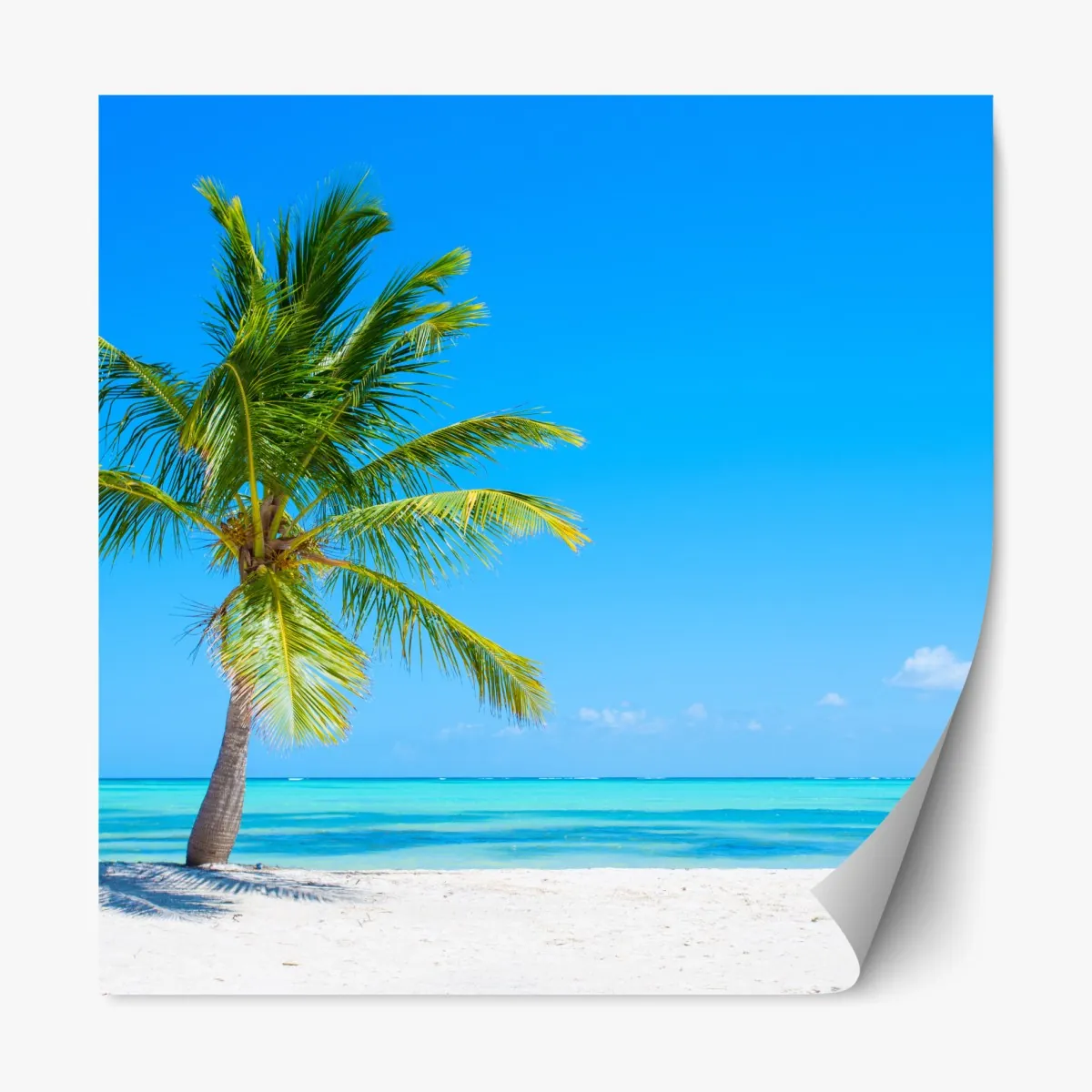 Naklejka repozycjonowalna tropikalna palma na białej plaży – Wallissimo® Naklejka repozycjonowalna tropikalna palma na białej plaży – Wallissimo®