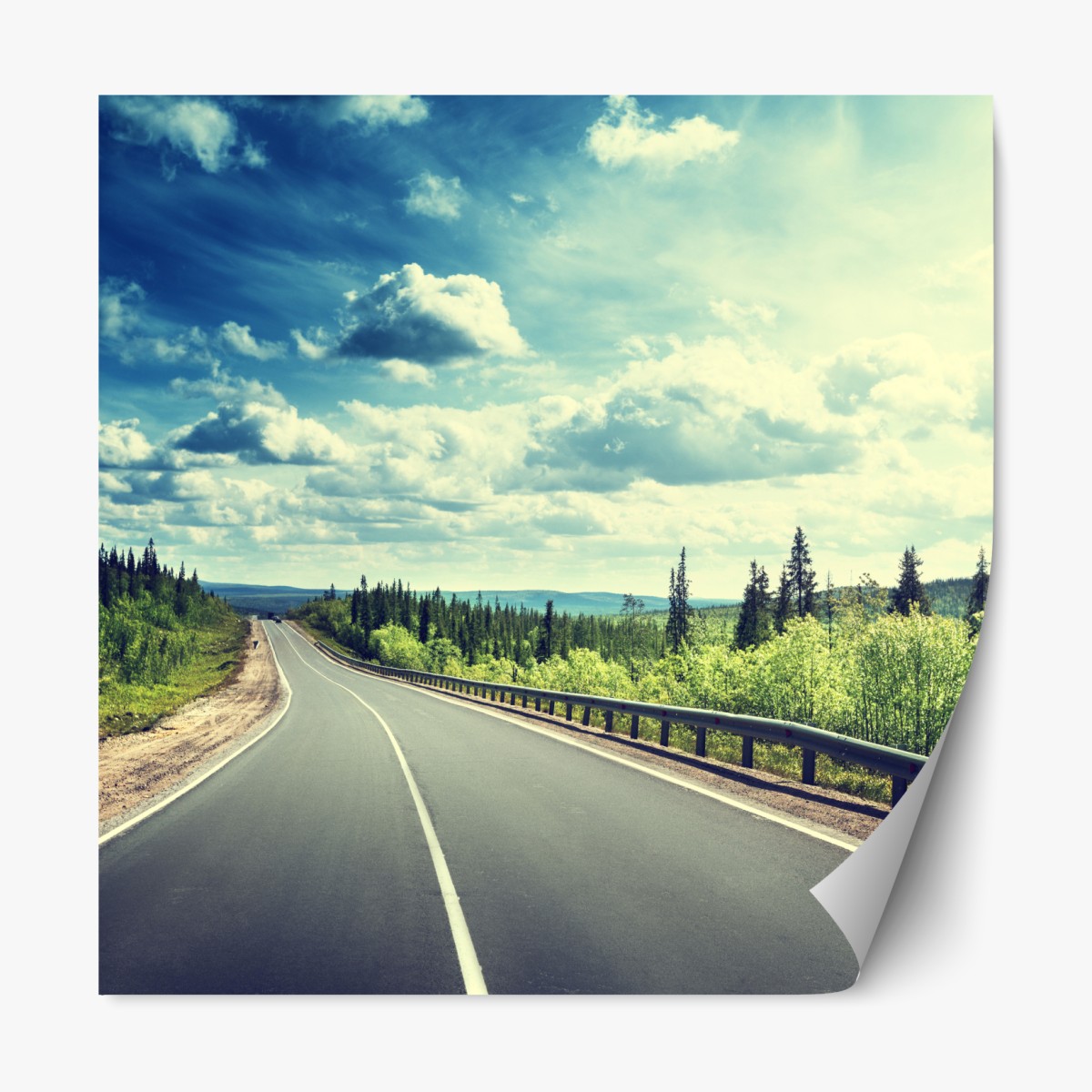 Repositionable sticker sunlit forest road to the horizon