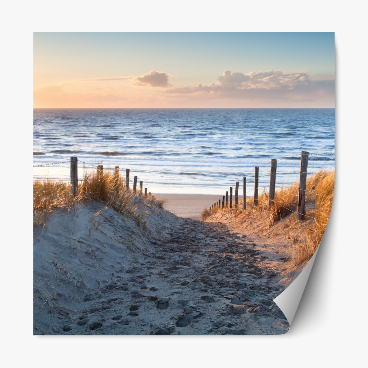 Repositionable sticker sunset path to the North Sea, Holland