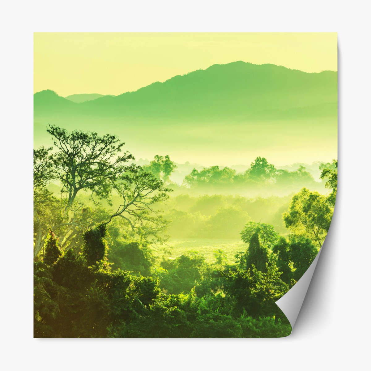 Repositionable sticker lush tropical jungle landscape