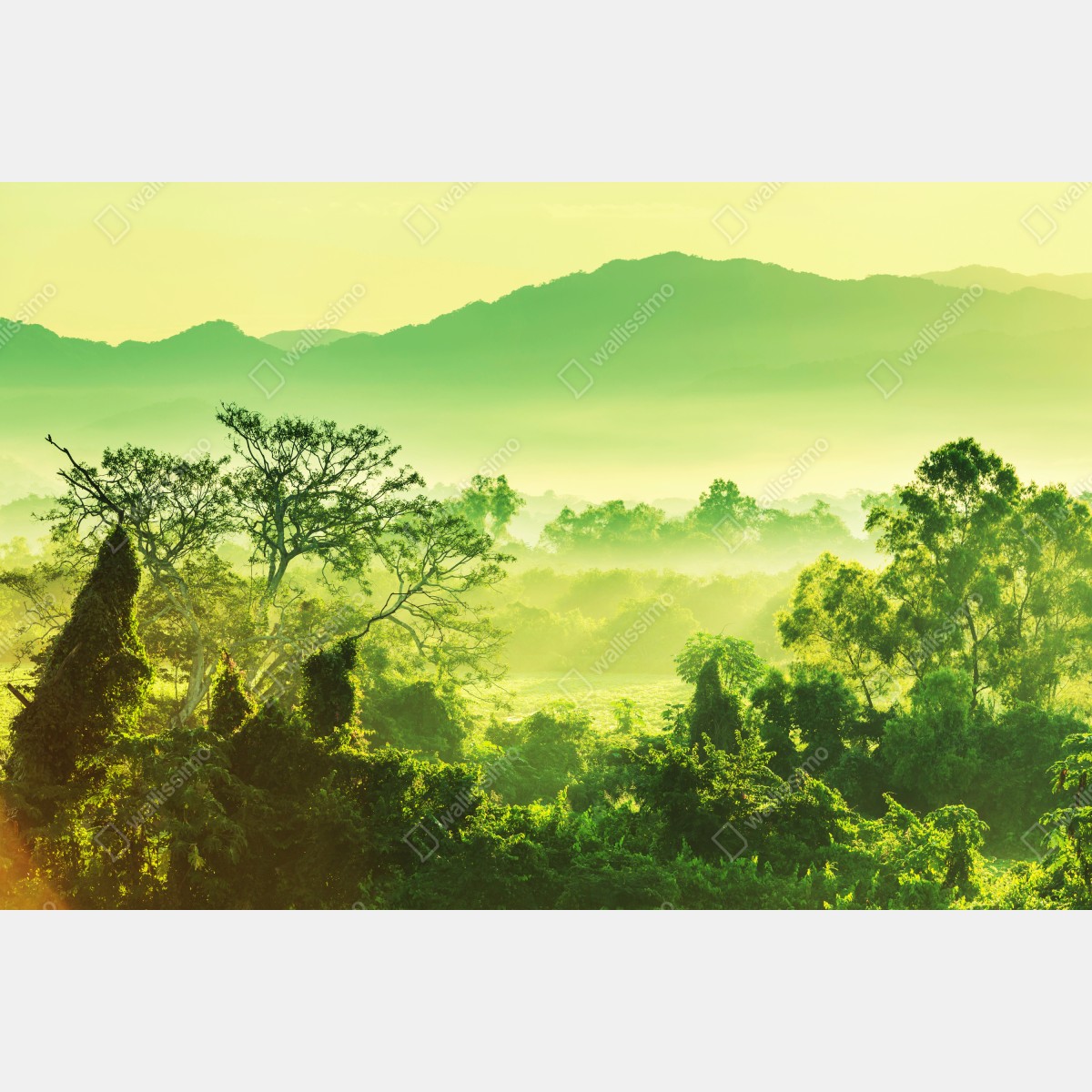 Naklejka repozycjonowalna bujny tropikalny krajobraz dżungli – Wallissimo® Naklejka repozycjonowalna bujny tropikalny krajobraz dżungli – Wallissimo®