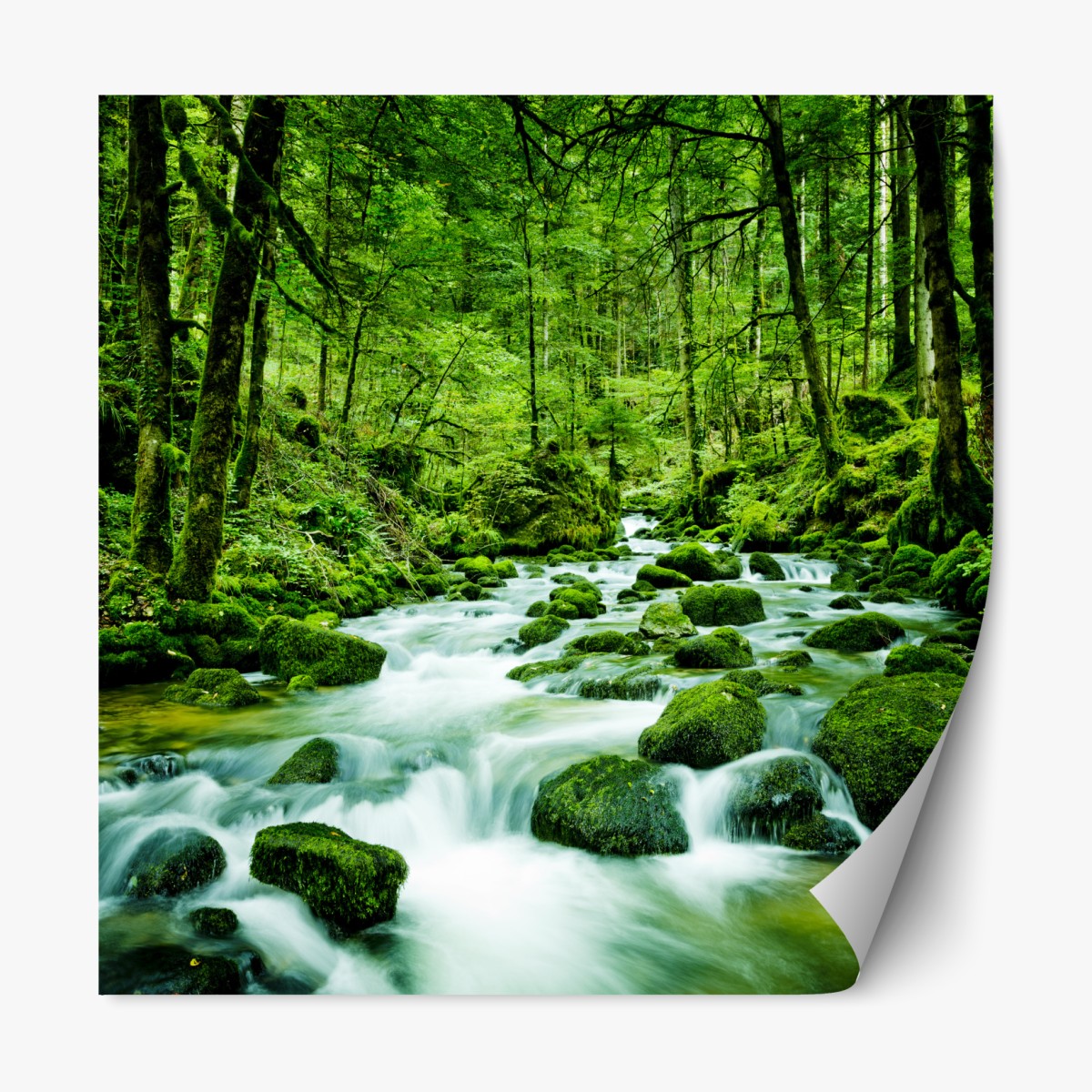 Repositionable sticker mossy forest stream